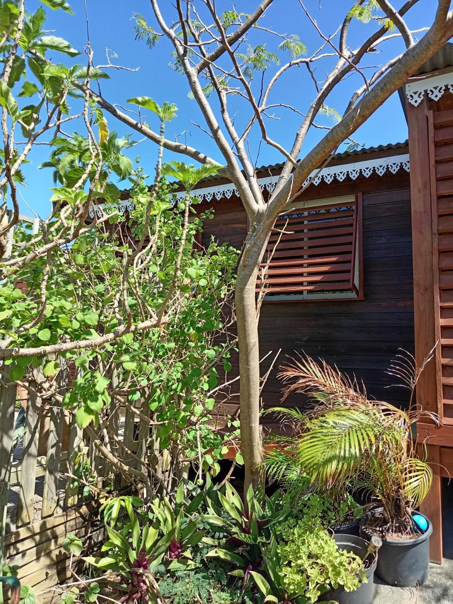 생조세프 Location Bord Ocean, Holi-Wood 빌라 외부 사진
